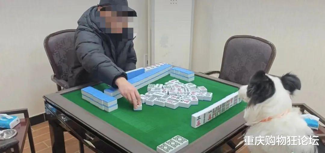 我来教教大家“手机玩四川麻将外卦神器下载安装”详细教程辅助工具