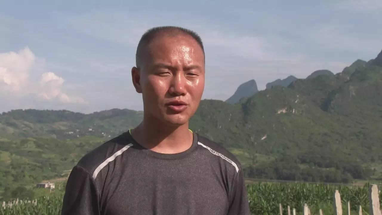 玩家必备教程跑得快哪个平台可以买到真的挂”(确实是有挂)-哔哩哔哩