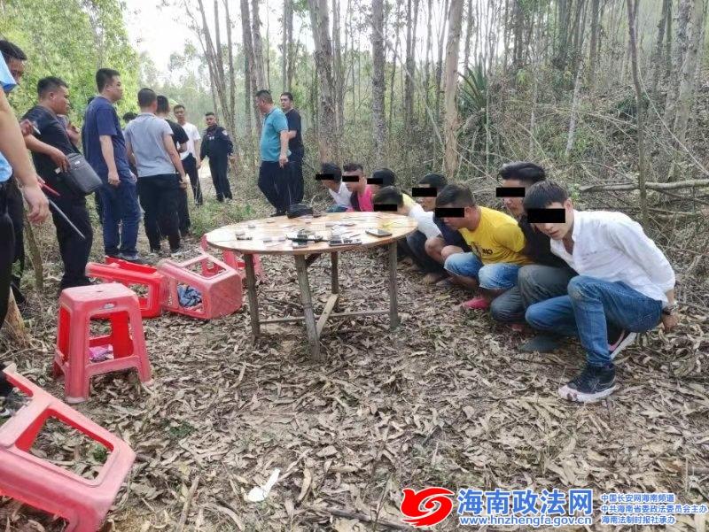 三分钟了解！普通扑克牌分析器直播,推荐2个购买渠道