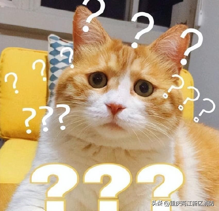 玩家必看科普！麻将机胡牌神器在哪儿买,推荐3个良心渠道