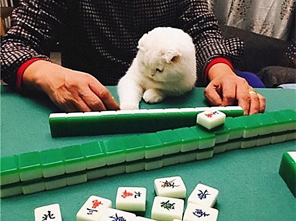 7分钟揭秘！哈哈长沙麻将其实是有挂的(赢的技巧提高胜率)